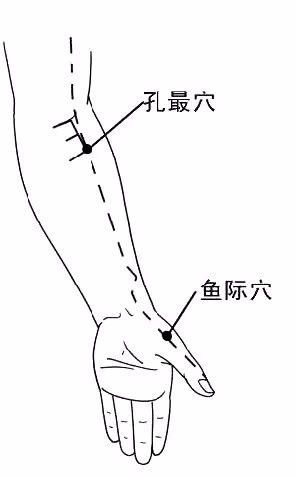 敲打手势如下:敲肺经时,拳要握得紧一点用小指掌指关节敲 .