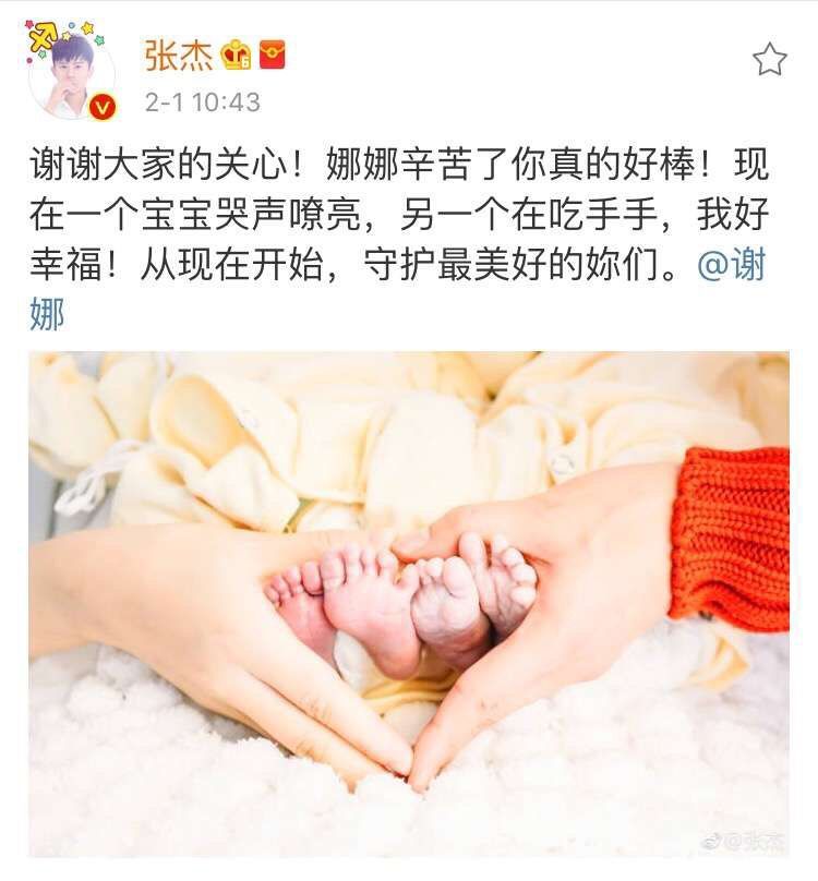 称谢娜诞下双胞胎,是"一对可爱的公主星".