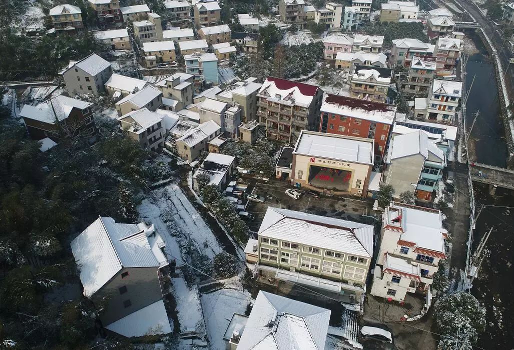 新桐乡小桐洲村多少人口_浙江桐乡汇丰村图片