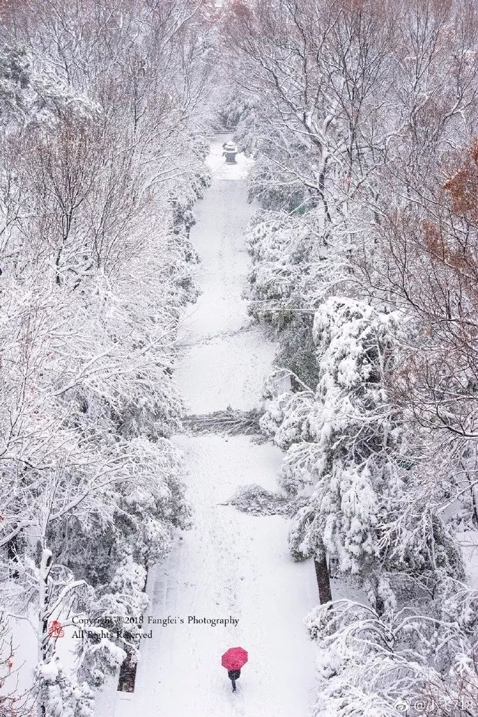 一落雪,就走进了诗意的中国.