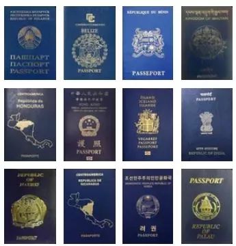 blue passport