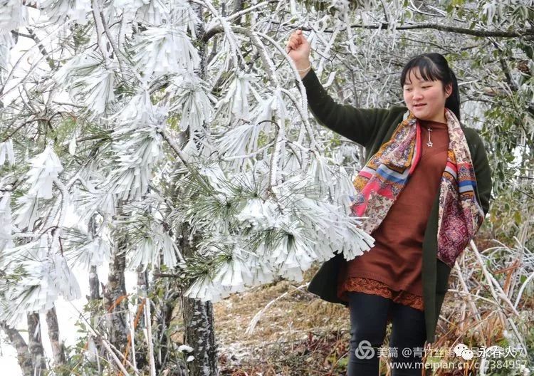 图片永春人谢大显拍摄的桂洋大白岩雾淞景色美呆了