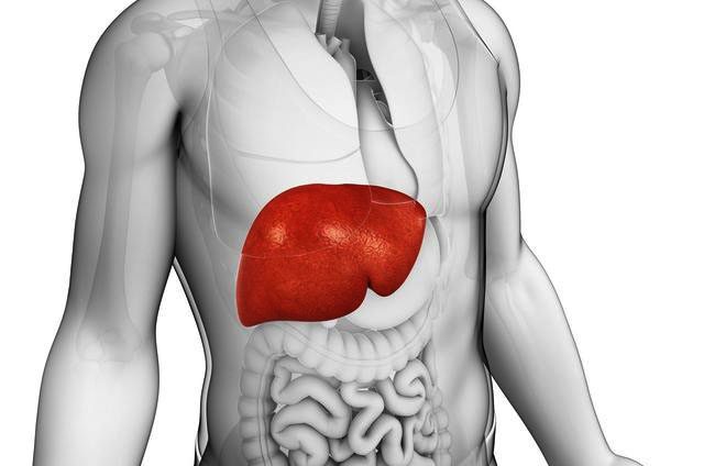 身体出现6个症状,是肝脏向你发出求救信号,5个小动作养肝护肝