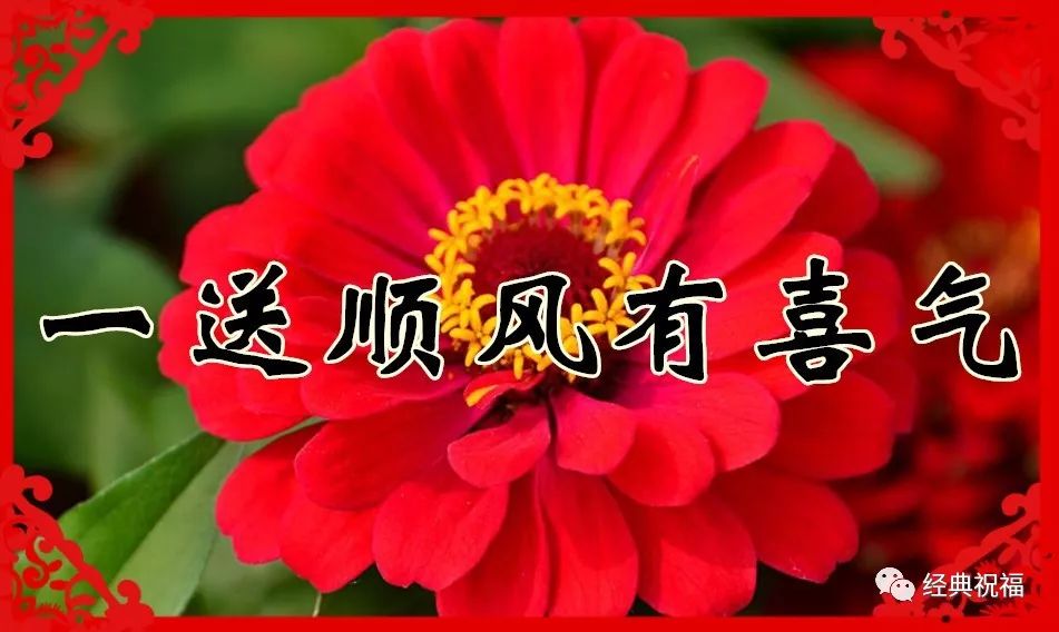 好运祝福收到的人将会一生幸福储存的人竟会一生快乐送群里的人定会