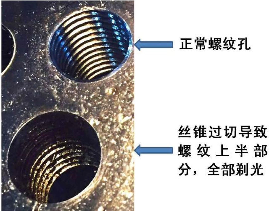 大规格螺旋槽孔豆邢窒蠓治鲇胧匝檠芯