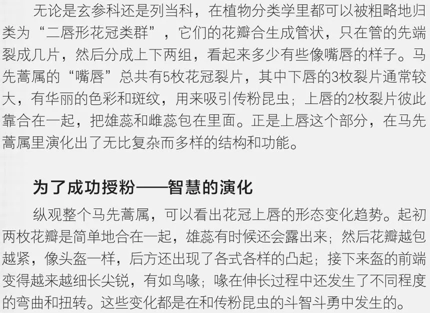 善变的简谱_善变王靖雯不胖简谱(3)