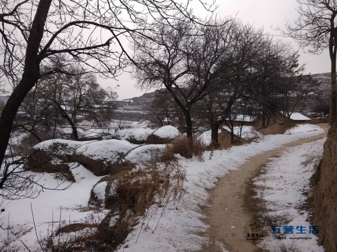 敦厚代家寨子雪景