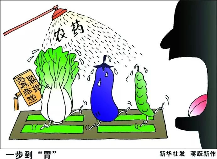 菜贱伤农的经济学原理_漫画 菜贱伤农 蕴含的经济生活道理有 ①市(3)