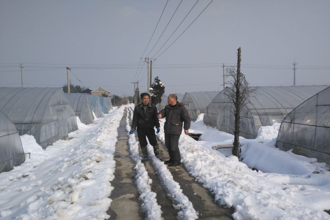 舞阳街道人口_雪域迷城舞阳图片