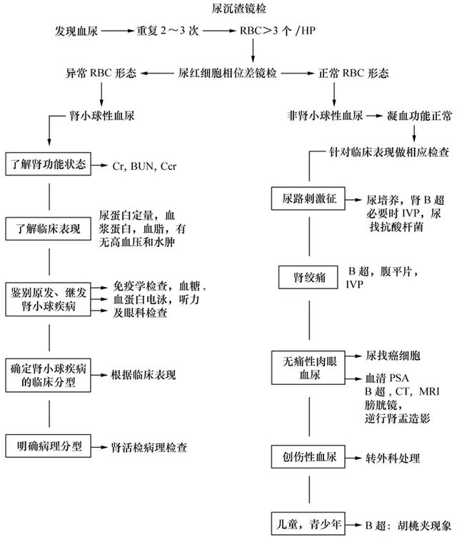 尿液发红就是血尿吗一张图教你如何诊断