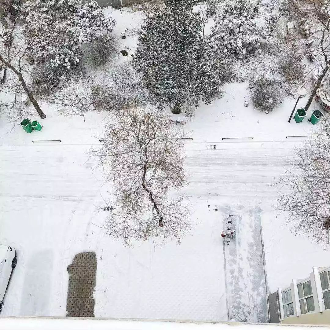 河南洛阳雪景