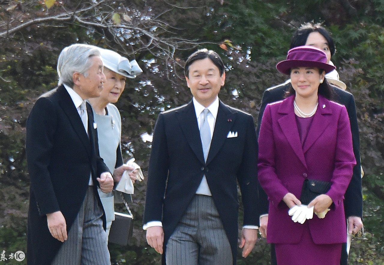 历史 正文  图中正对镜头的则是皇太子德仁和皇太子妃雅子,德仁生于