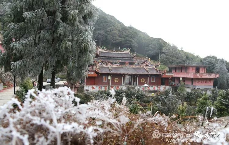 图片永春人谢大显拍摄的桂洋大白岩雾淞景色美呆了