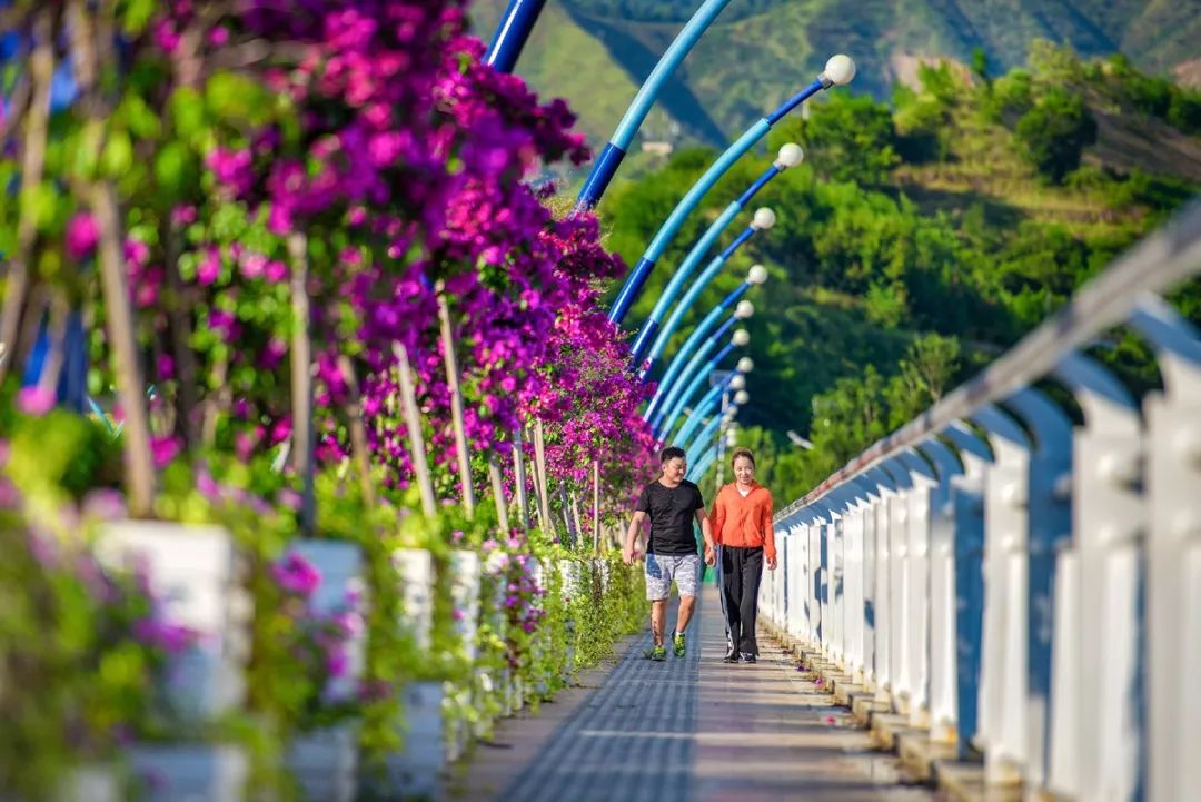 大量外来人口对攀枝花杨花_攀枝花花图片