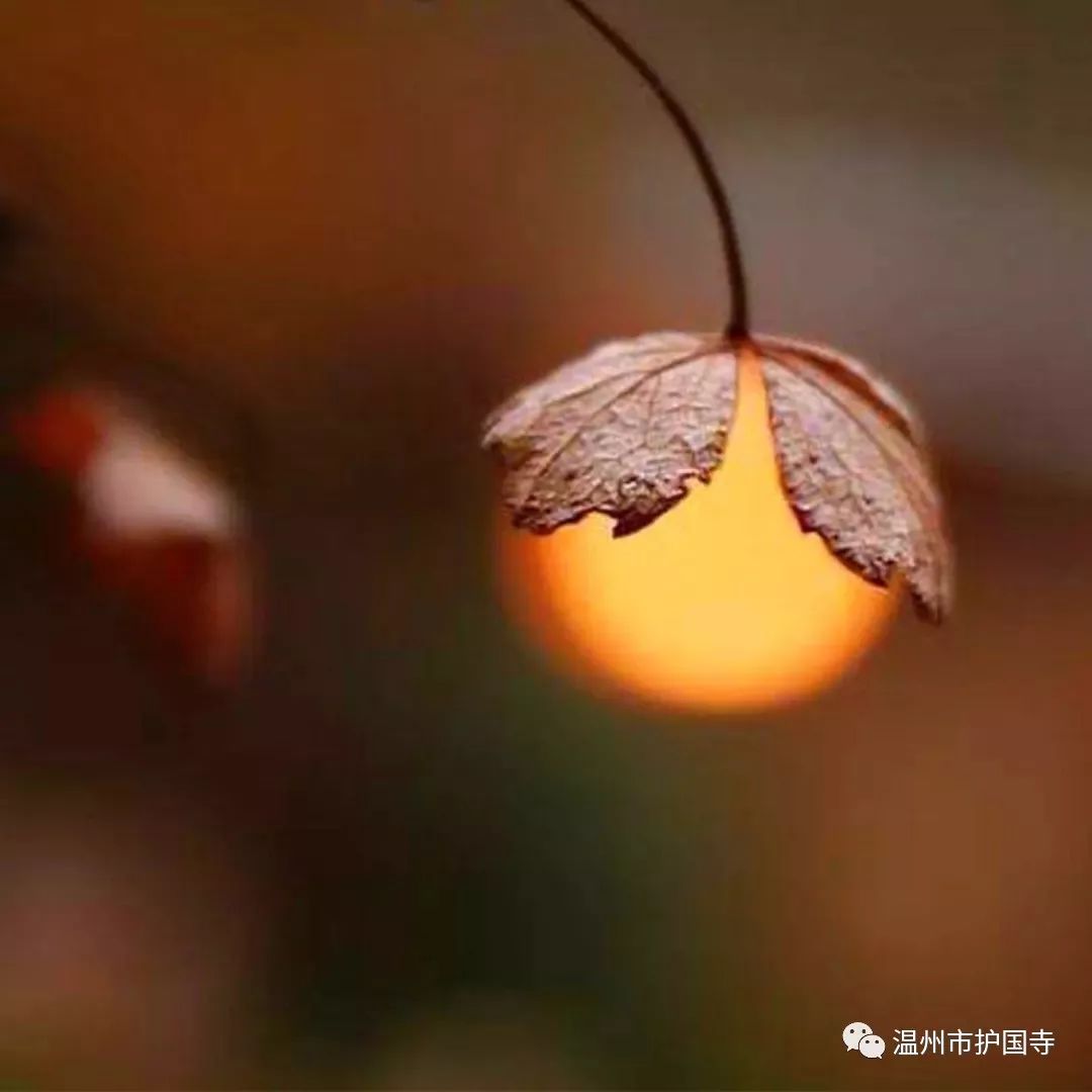 生命的无常是无法回避的,请坦然面对吧!