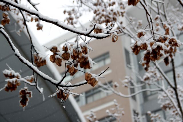 金华二环北路美如仙境的神秘地境窗外大雪纷飞窗内温暖如春