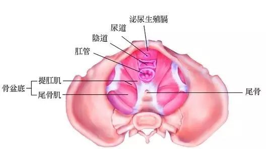 这么多病,难道都是产后引起的?