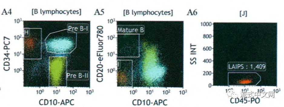 AML、B-ALL、T-ALL、PCN的MRD专家共识推荐方案和分析步骤详解