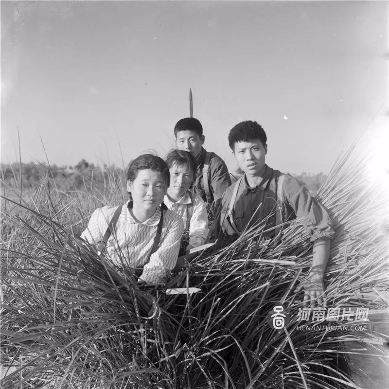 民兵!紧急集合,真实大片