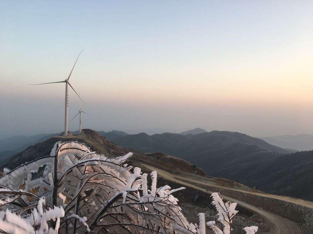 震惊!太阳一露脸,大容山就变成了一座"水晶宫",北流人看呆了!