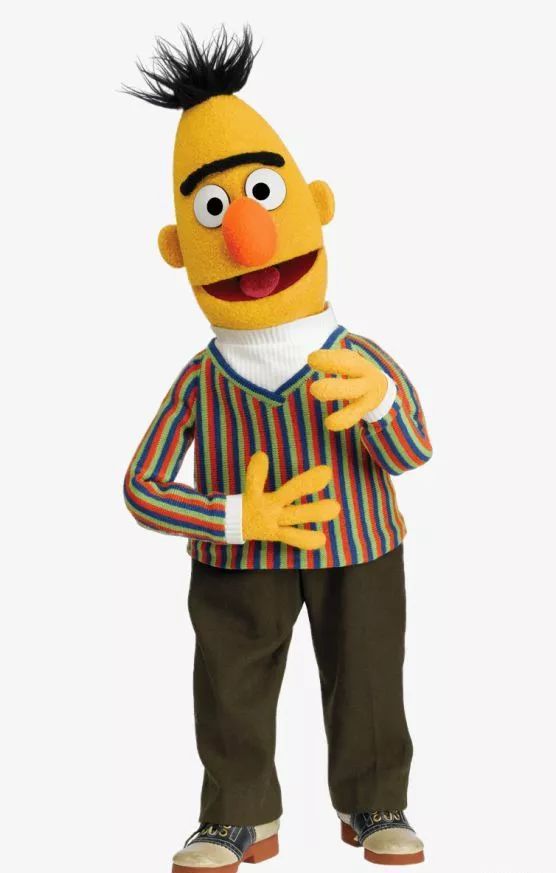 伯特(bert)