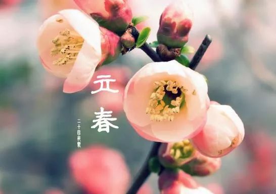 24节气|立春日 赏春光