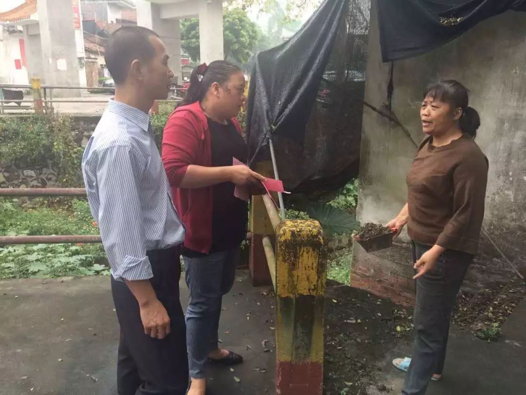 厉害鹤山这位女村长将要代表广东做一件大事她就是