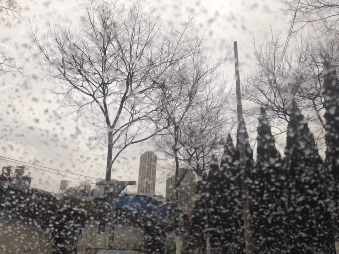 强冷空气 雨夹雪双重暴击!周末冷到飞起