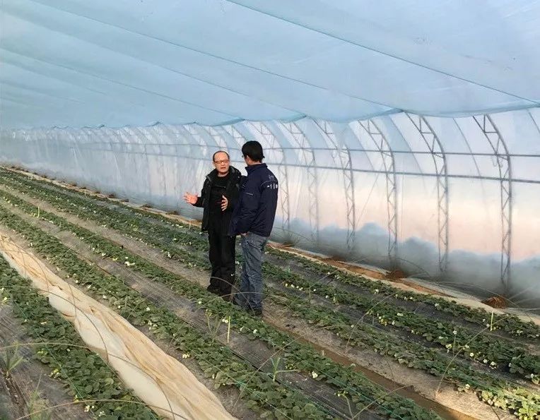 种植人口地_世界人口老龄化地图片