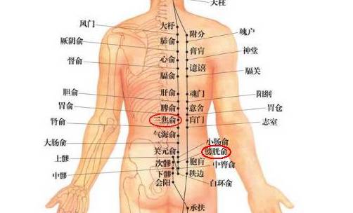 通三焦,解酒戒酒,穴位 三焦俞,膀胱俞  以上穴位,如果用来解酒,可以