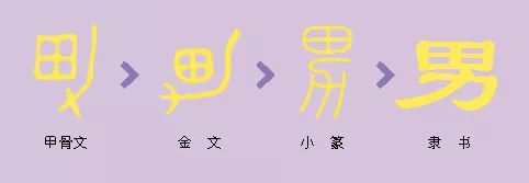 从甲骨文的字形上看 "男"的左上是"田" 右边很像一把耕田用的农具