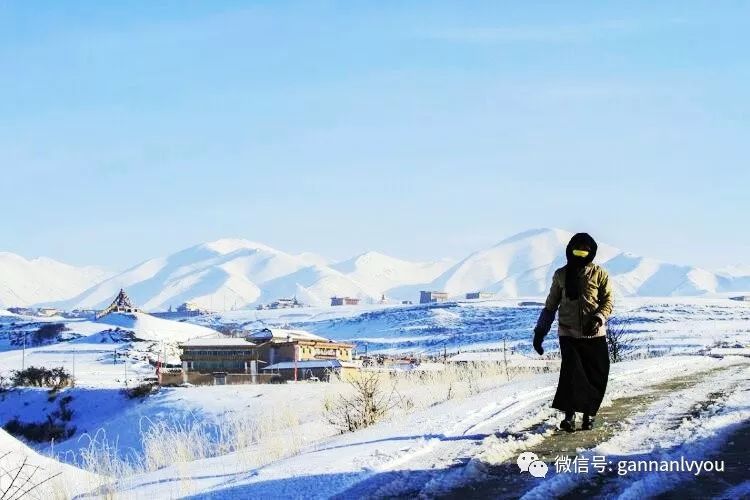 2018年甘南最美的雪景写真在这儿!