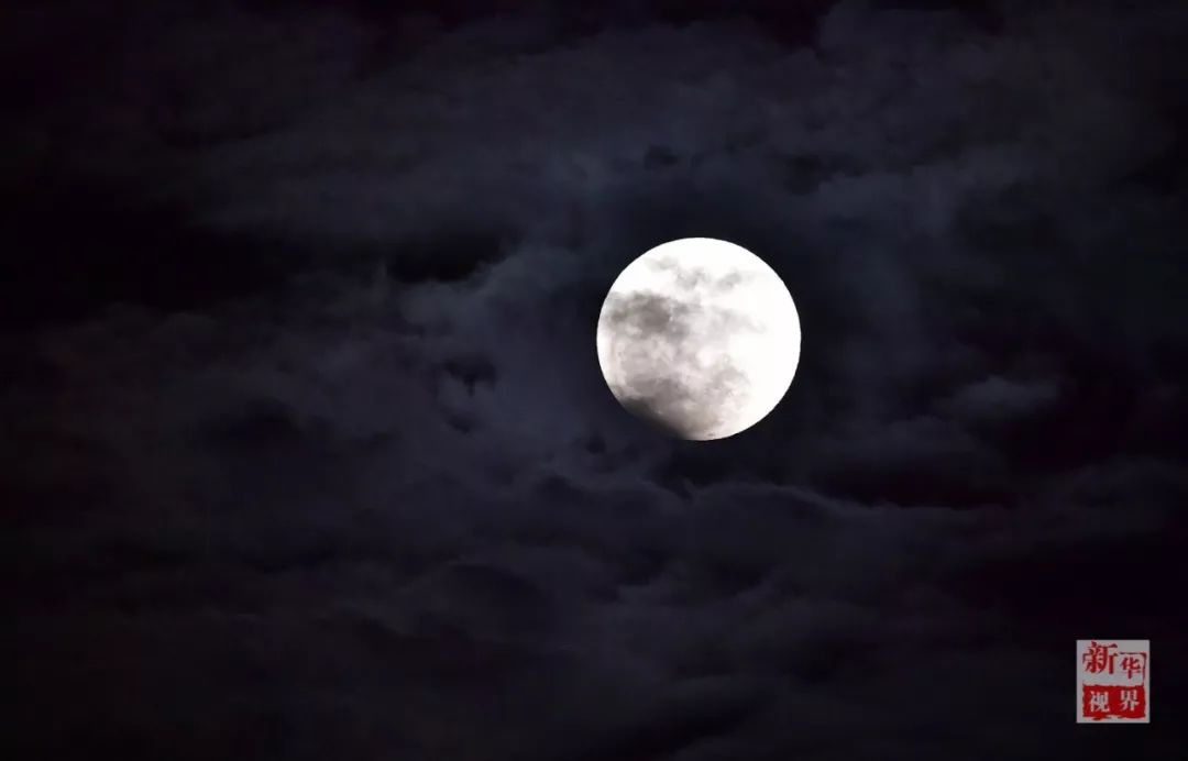 带你看昨晚最诗意的月色