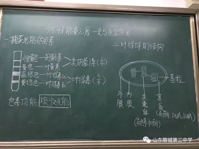 教学板书是教师对教材深入分析研究的结果,又是教师审美旨趣,教学艺术