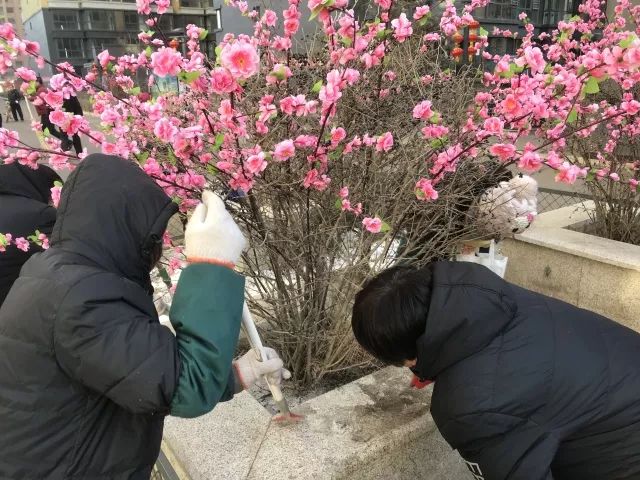 御鑫亮城 | 华北星物业节前大扫除,扮靓小区迎新春!