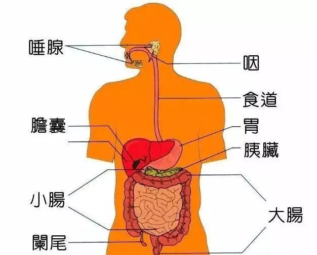 宝妈须知:六招解决宝宝吸收不好