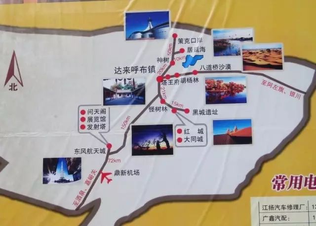 额济纳旗胡杨林旅游攻略