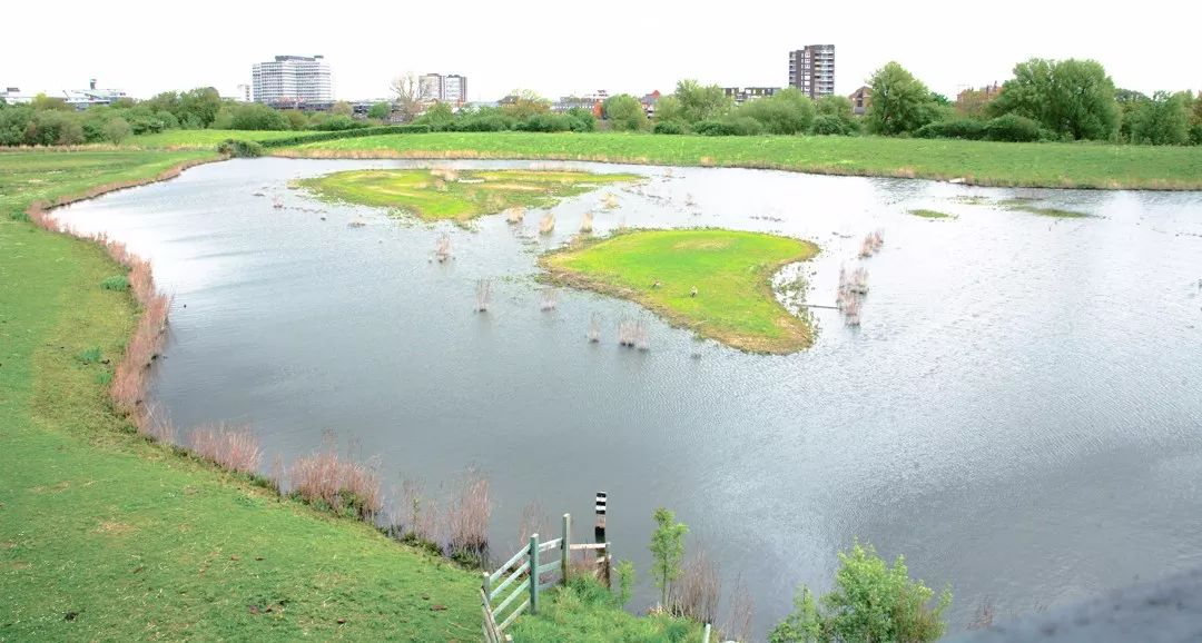 铁汉观点 | 今天是世界湿地日,关于国家湿地公园建设管理,你了解多少?