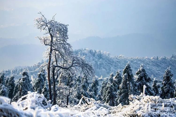 迷恋衡东四方山上的雪