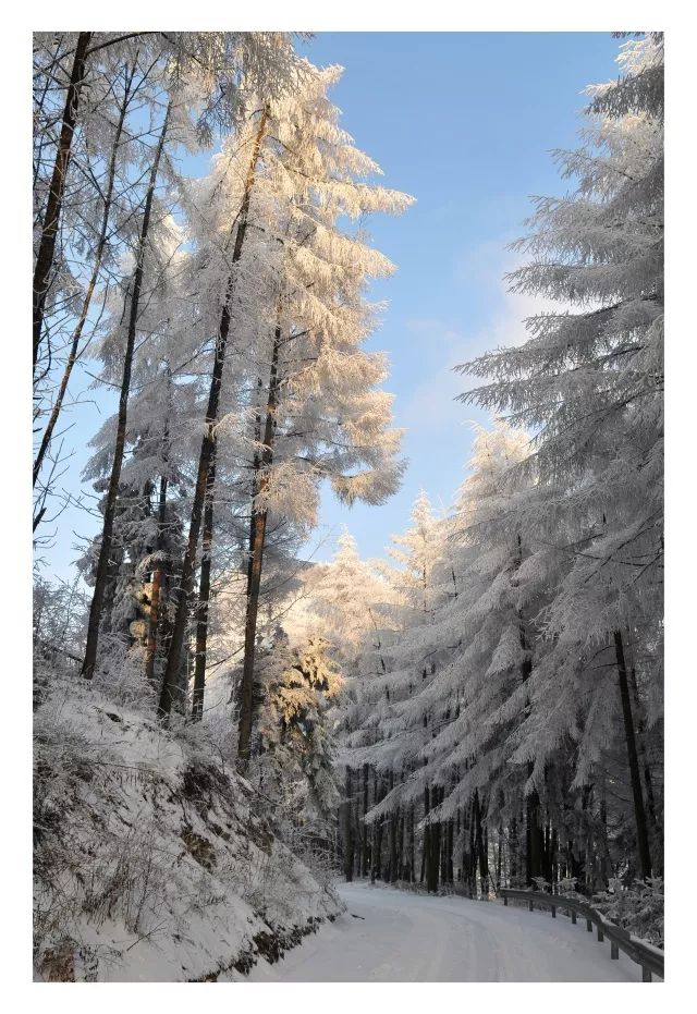 巫山这个地方的雪景,错过再等一年都未必能再见