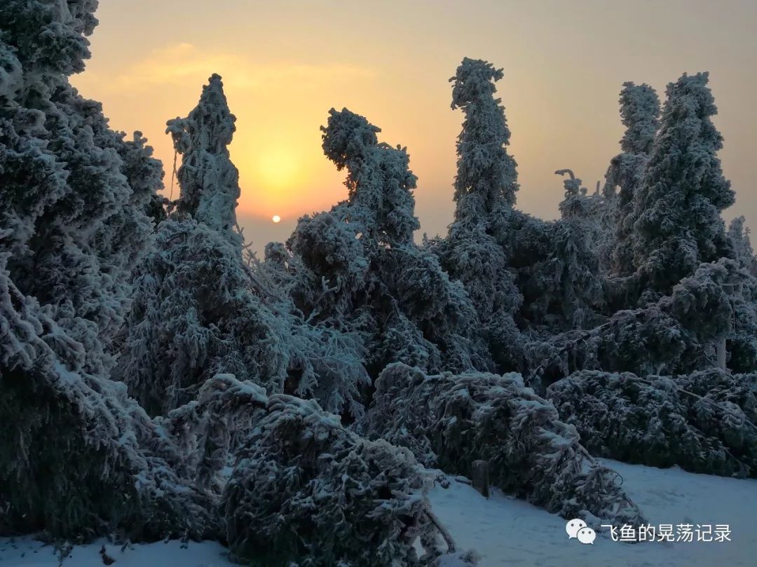 云阳山雪景甲天下媲美世界最美的风景