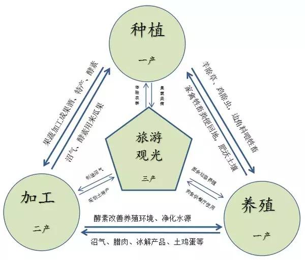 以箐箐生态庄园为例,看安徽宣城市五大典型生态农业模式