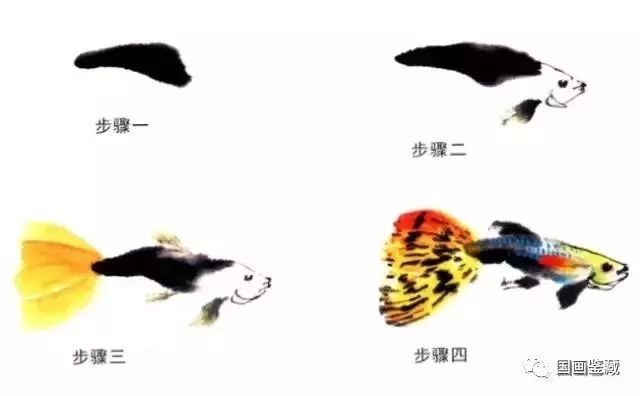 各种鱼的彩墨画法图文教程,水墨画鱼的画法,彩墨鱼的几种画法