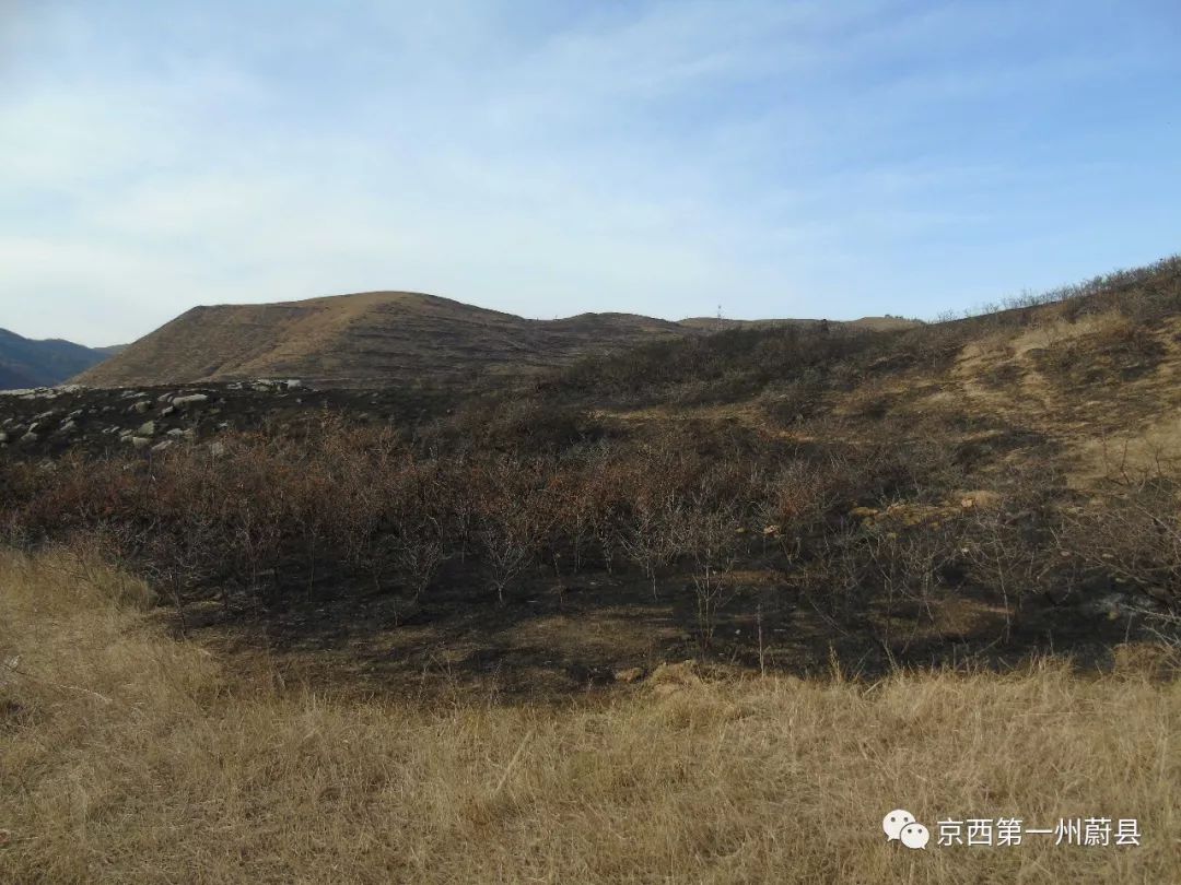 草沟堡乡陶家小庄本村人口(2)