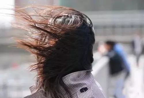 ↓ 大风中的生活状态大致分为以下几种 一阵风刮来满脸都是头发 但