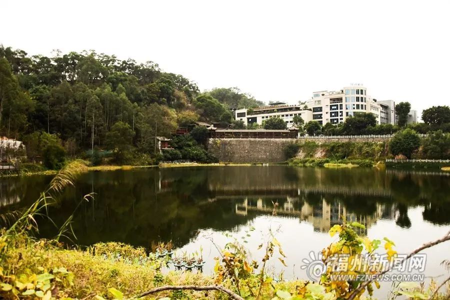 爱上福州城|鼓楼福山(郊野)生态公园:林间穿越 城市生态后花园图片