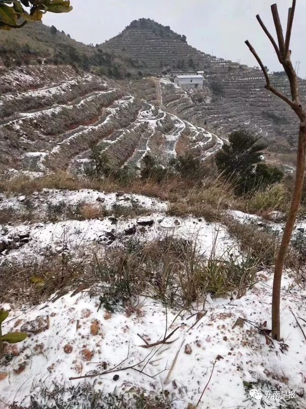 泉州一夜变冰雪王国!安溪永春德化南安都下雪了!但有件事很危险!