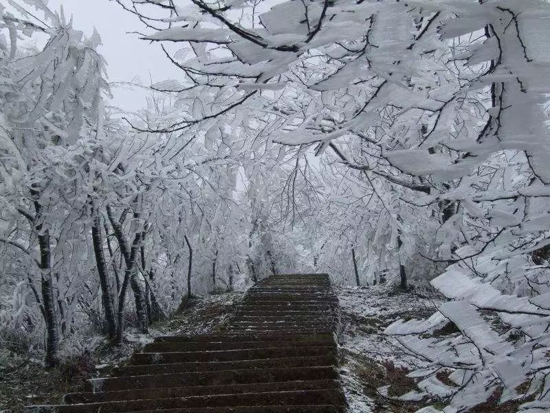 金鼎山景区雪景美是美,但是路途多艰险,一定要谨慎选择出游线路.