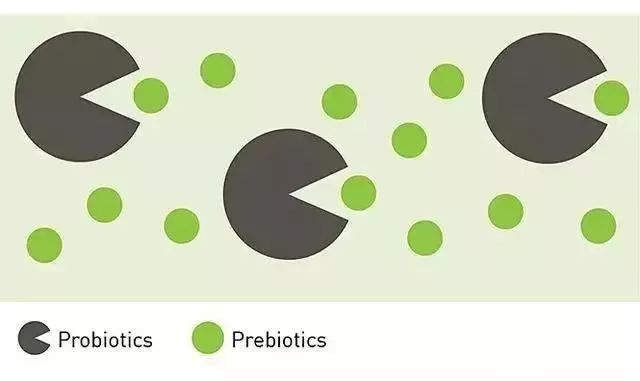 益生菌只有这2种情况吃才有用吃错有害