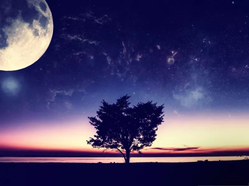 诵读时光——月亮上的树是异乡人的眼
